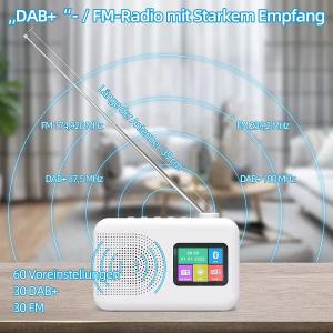 Private Mold Portable DAB/DAB FM Radio with Speaker and TFT Display AC Power