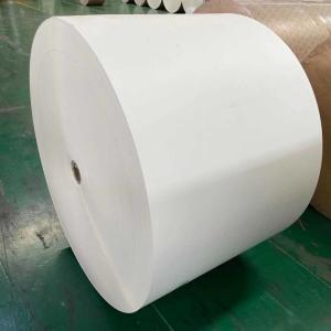 Salad Bowl 150+10g PE Coated Paper In Roll 2600mm Reel Width