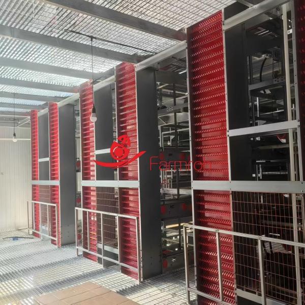 Quality 80000 Layer Chicken Cage System Good Load-bearing Capacity wholesale