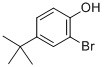 Cheap 2-Bromo-4-tert-butylphenol [2198-66-5] for sale