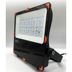 IP66 LED Security Flood Light