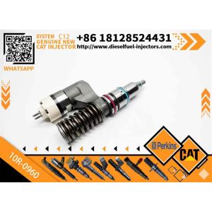 China Diesel Fuel Injectors 212-3460 10R-0960 212-3462 10R-0967 for CAT Engine C10 C12 2123460 10R0960 2123462 10R0967 on sale