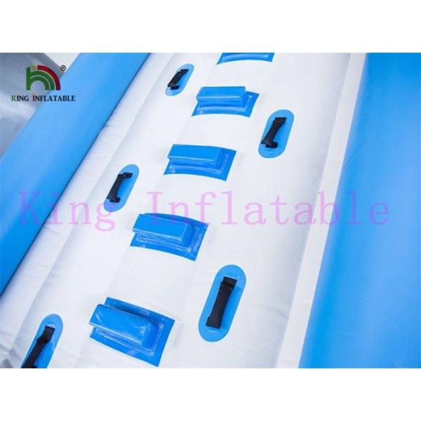 Commercial 0.9mm PVC Tarpaulin Inflatable Big Air Slide Dolphin Toy For Water Park