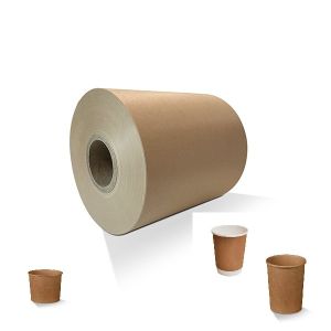Craft Material PE/PLA coated paper roll Free Sample OEM FDA Quality for heavy