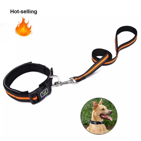Quality Modern Custom Dog Collar And Leash Adjustable Kit Pet Matching wholesale