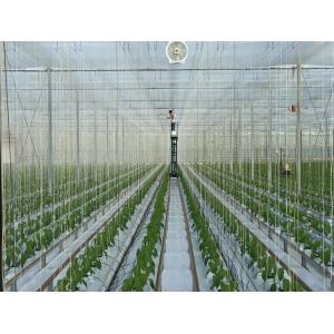 Greenhouse Tomato Tying Twine With Hook 7500D 9000D Rope Denier