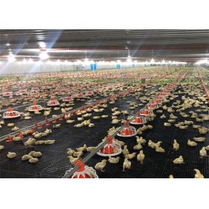 Poultry House Steel Structure Building with Glass Wool Insulation