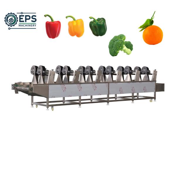 Fruit and Vegetable Drying with Automatic Stainless Steel Dehydrator Online