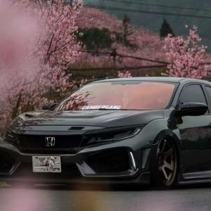 NASDIO 80% Rose Red Chameleon Window Film Stylish Eco Friendly Versatility