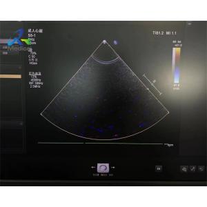 S5-1 Linear Array Ultrasound Transducer Probe Crystal Array Replacement