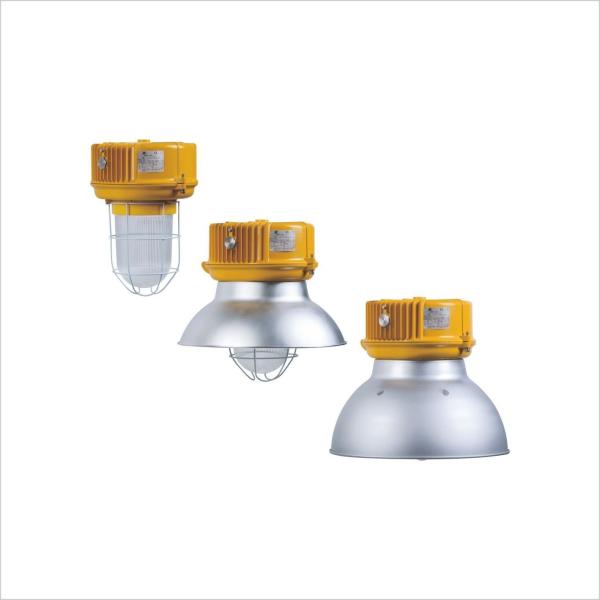 BnD81 Series Pendant Light Fittings Explosion Proof IP65 With ATEX IECEx