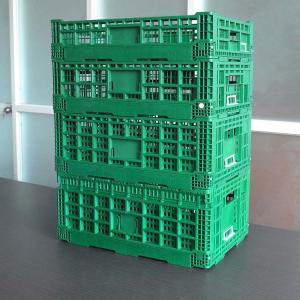 Green Collapsible Fruit Plastic Crates Portable For Home Shopping
