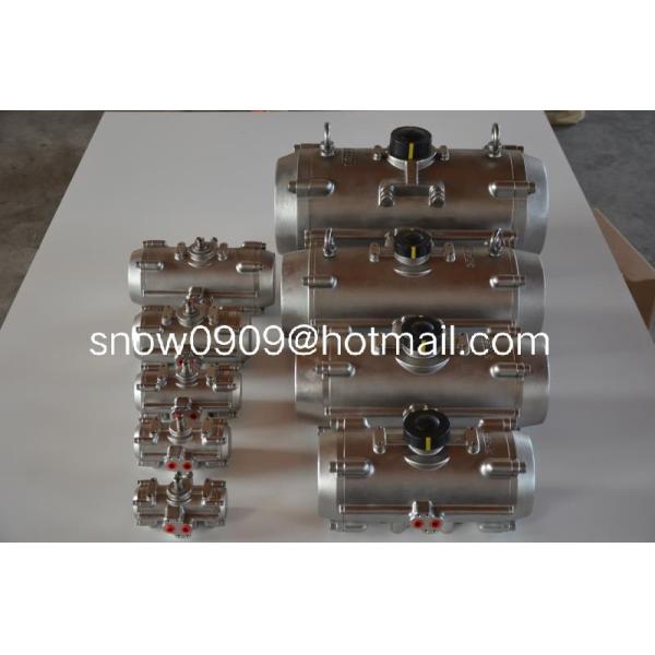 Stainless Steel 316/304 Material Pneumatic Actuator Control Valve