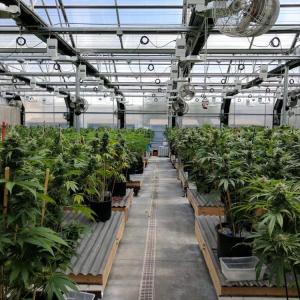 100% Automatic Blackout Greenhouse System Hot Dip Galvanized