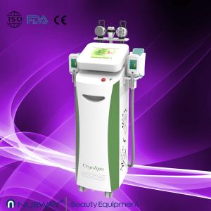 Big Sale--Hottest Vertical Fat Freezing Cryolipolysis slimming equipment with Bottom Price