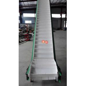 Automatic Electrical Driven Roller Conveyor for Wooden Board
