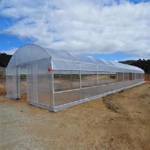 Double Arches Tunnel Plastic Greenhouse Strong Structure Cold Area Support