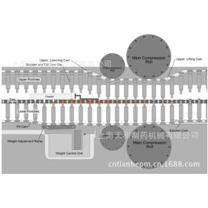 Double-sided Multi-functional Big size tablet pill press maker machine