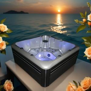 CE/ETL/SAA Certified Spa Bathtub Swim Spa Pool For Hydrotherapy And Massage
