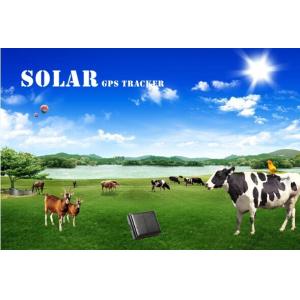 China Waterproof anywhere gps tracker reachfar rf-v26 mini solar gps animal tracker on sale