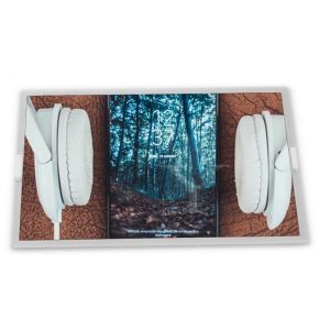 15.0-Inch WLED LCD Display Module TDA150-005V01 with 1600*1200 Resolution for