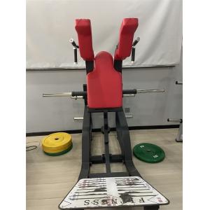 Vertical Calf Quads Hack Squat Machine Gym Commercial Plate Loaded