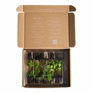 Custom Logo Printed Paper Cactus Succulents Live Plants Packaging Shipping Box