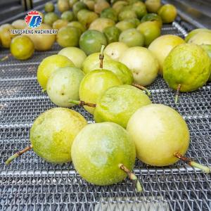 350KG Stainless steel fruit and vegetable processing air drying machine group