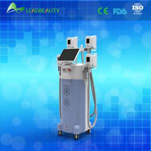 2015 multifunction lose weight 4 cryolipolysis heads 4 handls cryolipolysis