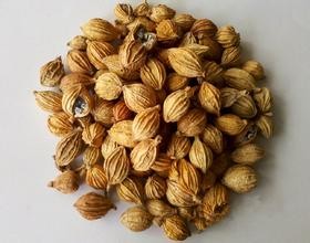 Fructus Amomi extract, Clove extract, Cuminum cyminum extract, 10:1, TCM Extract