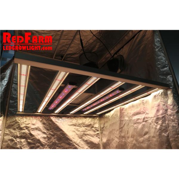 Greenhouse PWM 650W Cri80 Horticulture LED Grow Lights