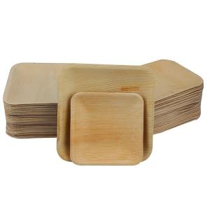 9x6" Compostable Palm Leaf Disposable Plates , Rectangle Biodegradable Leaf