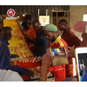 Full Automatic Hot Galvanized Battery Chicken Cage With Egg Collection System