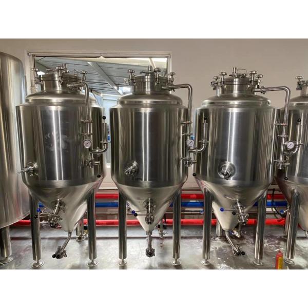 100 200 300L SS304 SS316L Home Micro Beer Brewing Equipment