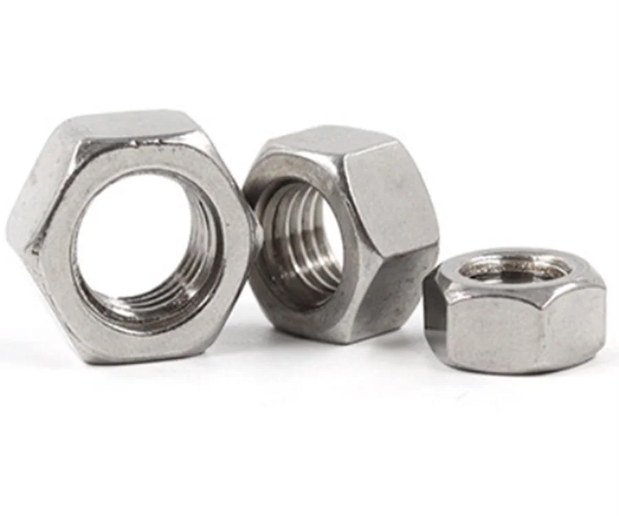 Stainless Steel Lock/Nylon Nut 304 Nut