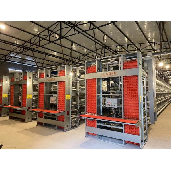 Quality Commercial H Type Chicken Wire Cage / Layer Hen Cages Long Service Life wholesale