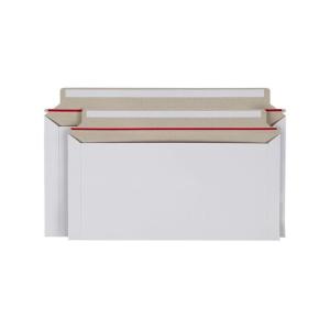 Eco-friendly express & portfolio paper bag - comply with ROHS