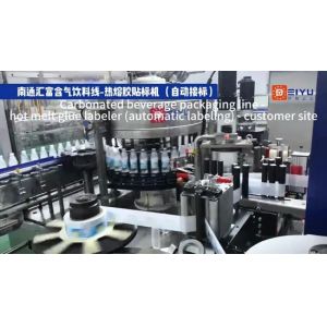 High Speed 6000BPH-72000BPH Hot Melt Glue Labeler with Stainless Steel 304