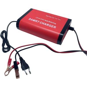 Private Mold Intelligent Automatic Motorcycle 12V10A 24V5A Pulse Repair Lead