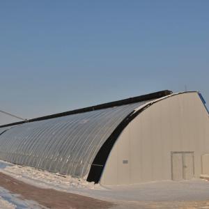 Arched Roof Greenhouse The Ultimate Sunlight Solution for Tomato and Cucumber