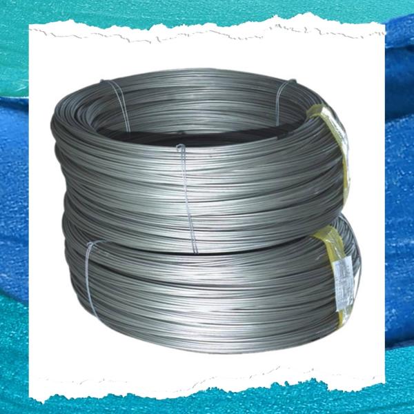 Quality 10 Gauge Stainless Steel Wire for Spring with Excellent Corrosion Resistance wholesale