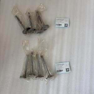 Hyunsang Excavator Parts INLET VALVE 12159606 EX VALVE 12159608 For Weichai