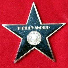 Customized star engraving / pad printing copper lapel pin badge