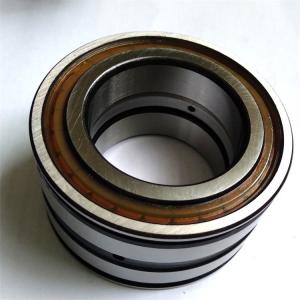 Full Complement Cylindrical Roller Bearings SL04 5010 PP