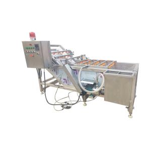 Water Recycle Fruit Plum 0.5Ton/h Vegetable Washing Machine