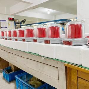 ATEX Approved 120db Led Beacon Light 220vac 110vac Explosion Proof Strobe