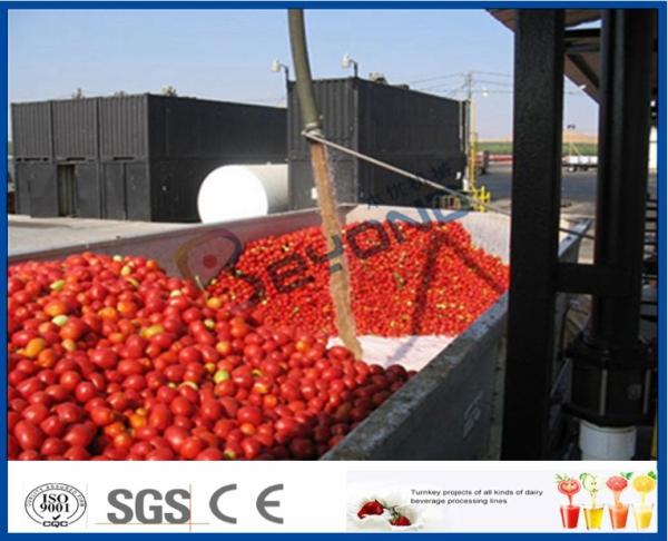 Quality Tomato Sauce Making Machine Tomato Paste Production Line With Hot / Cold Break System wholesale