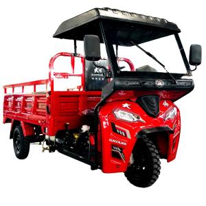 China DAYANG 200cc Water Cooled Tricycle with Front and Rear Drum Brake Cylinder Engine on sale