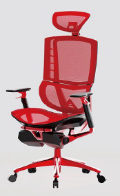 office chair with Game Performance,height adjustment,armrest adjustment,headrest