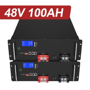 Customized Lithium Ion Battery 50Ah 150Ah 200Ah 48V 100Ah LiFePO4 For Solar